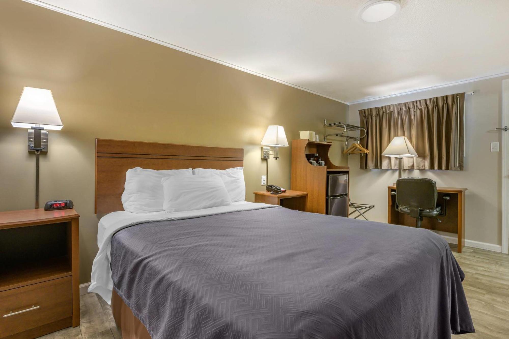 Lodge Econo I-99